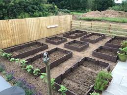Raised Beds Vegetable Flower Patch