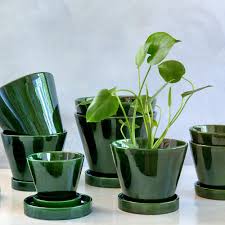 Still, that doesn't mean you have to give up on your green thumb. Buy Bergs Potter Julie Plant Pot And Saucer Green 11cm Amara