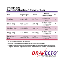Bravecto Chews For Dogs Free Shipping 1800petmeds