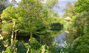 westonbury mill water gardens in