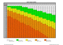 Body Mass Index Range Chart Body Mass Index Chart For Women 2019