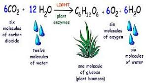 the overall equation of photosynthesis