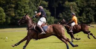 why-is-polo-called-polo