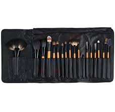 professional makeup brush kit