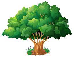 100 000 tree clipart vector images