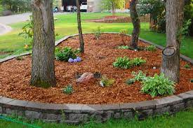 when to use mulch in your garden beds