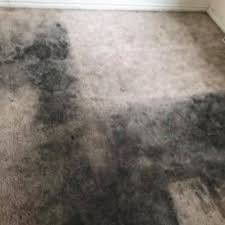 carpet cleaning methods best carpet
