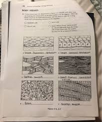Leave a reply cancel reply. Solved 58 Anatomy Physiology Coloring Workbook Body Tis Chegg Com