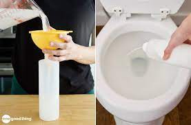 how to make a homemade toilet bowl cleaner