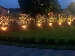 Outdoor Garden Lighting Amp Electrical