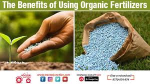 organic vs inorganic fertilizers