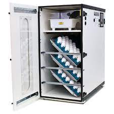 cabinet incubator 270 egg capacity