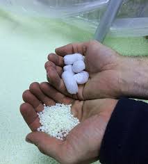 Why We Switched To Biodegradable Packing Peanuts The Cayenne Room