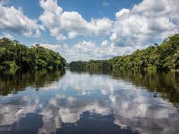 With a length of 2,900 miles (4,700 km), it is the continent's second longest river, after the nile. Congo Rainforest And Basin Places Wwf