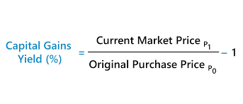 capital gains yield cgy formula