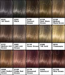 Color Chart Pretty Stuff Clairol Hair Color Chocolate