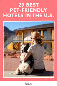 the 29 best pet friendly hotels in the