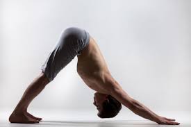 yoga poses for building muscles