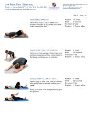 exercise program for low back pain