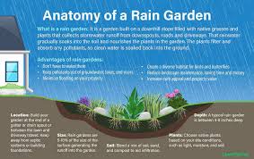 How To Build A Rain Garden 6 Steps