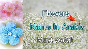 flowers name in arabic and english with