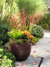 Plant A Conifer In A Container For