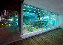 RedFin Aquarium Design gambar png