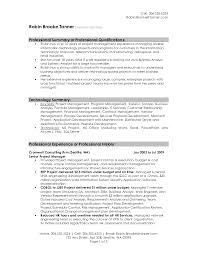 9 Career Summary Examples Pdf Examples Resume Samples