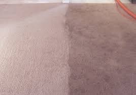 dalkey carpet cleaning the carpet