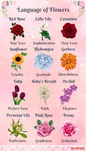 Flowers are one of the most wonderful creations that mother nature has ever gifted to mankind. 12 Valentine S Day Flower Meanings Explained To Woo Your Boo Nestia
