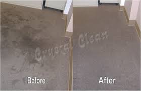commercial carpet cleaning lethbridge