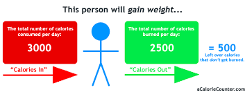 Calorie Counting A Guide To Calories Weight Control