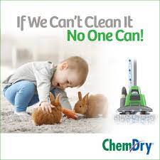 carpet cleaning specials fort wayne in