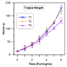 mean weight of tilapia in diffe