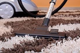 vacuum your carpet