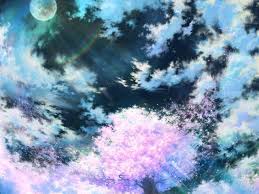 sakura anime pink sky art 84612