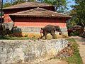 Elephant Training Center Konni Wikipedia