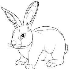 Si vous êtes à la recherche de dessin de lapin, voici un condensé rapide de ce que vous pouvez trouver sur internet pour la thématique lapin. Coloriages De Lapin A Imprimer Gratuitement Avec Tete A Modeler