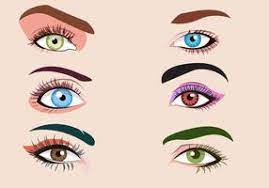 eye makeup vector art icons and