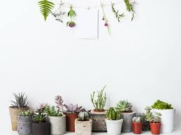 Una decoración simétrica y simple para la. 5 Ideas Espectaculares Para Decorar Con Plantas Decor Tips