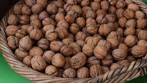 Long wait proving fruitful for Victorian walnut growers | Good Fruit &  Vegetables | Australia