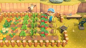seeds and grow crops