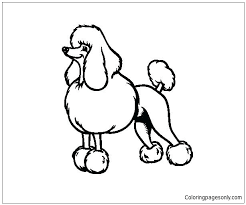 They're great for all ages. Poodle Puppy Coloring Pages Puppy Coloring Pages Coloring Pages For Kids And Adults