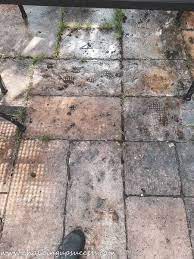best way to clean a concrete patio