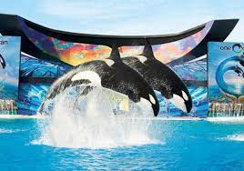 Seaworld san diego is now open! Tickets To Seaworld San Diego Fast Track Entry