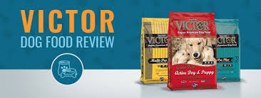 Victor Dog Food Review Recalls Ingredients Analysis In