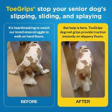 dog grippers for senior dogs