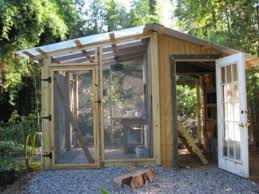 en coop and greenhouse combo