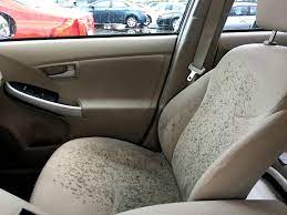 how to clean mold in a car naturally