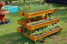 Start A Spring Vegetable Garden Box